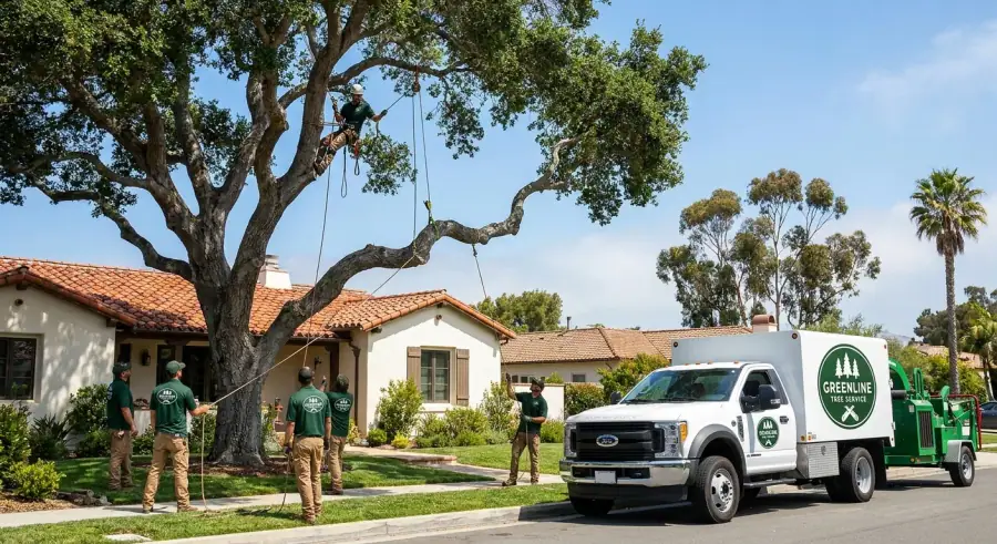 Crane lowering a tree section during a Vista removal