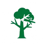 24/7 emergency tree service icon